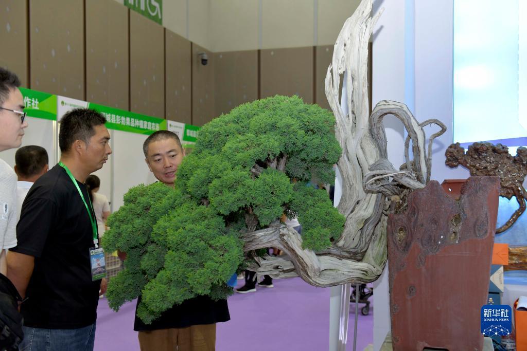皇冠怎么注册账号